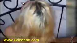کس بلند یه حال توپ میده ایرانی avizoone.com